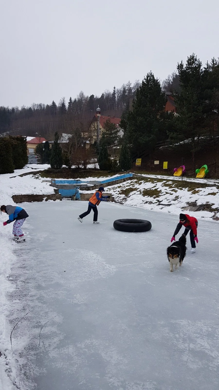 Naturalne lodowisko na stawie