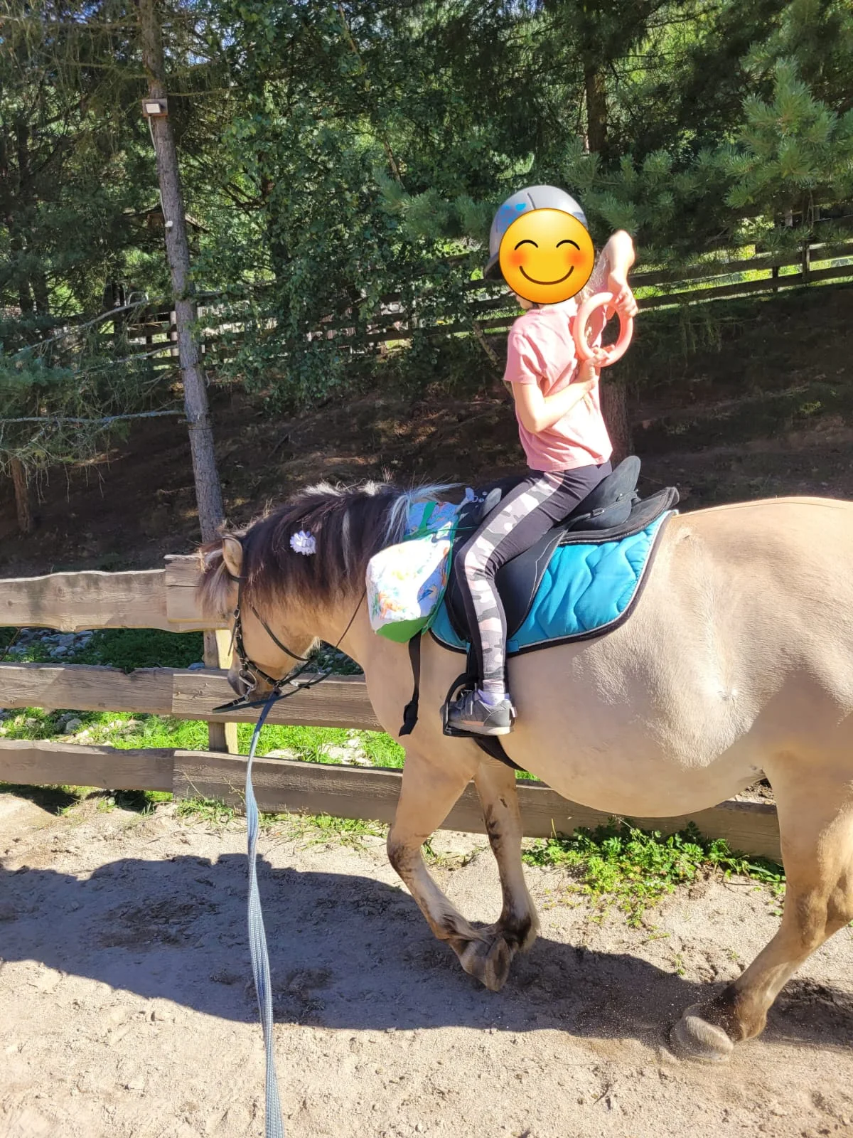 Zajęcia edukacyjne, rekreacyjne i terapeutyczne z końmi