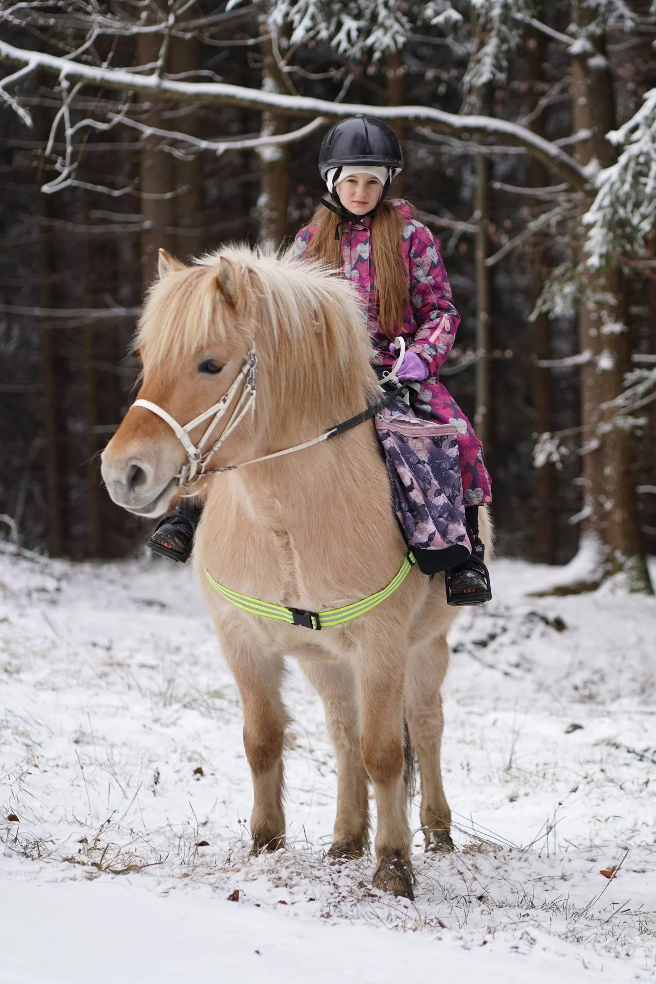 Mikołajki w zagrodzie🎄🎅 — zdjęcie 11