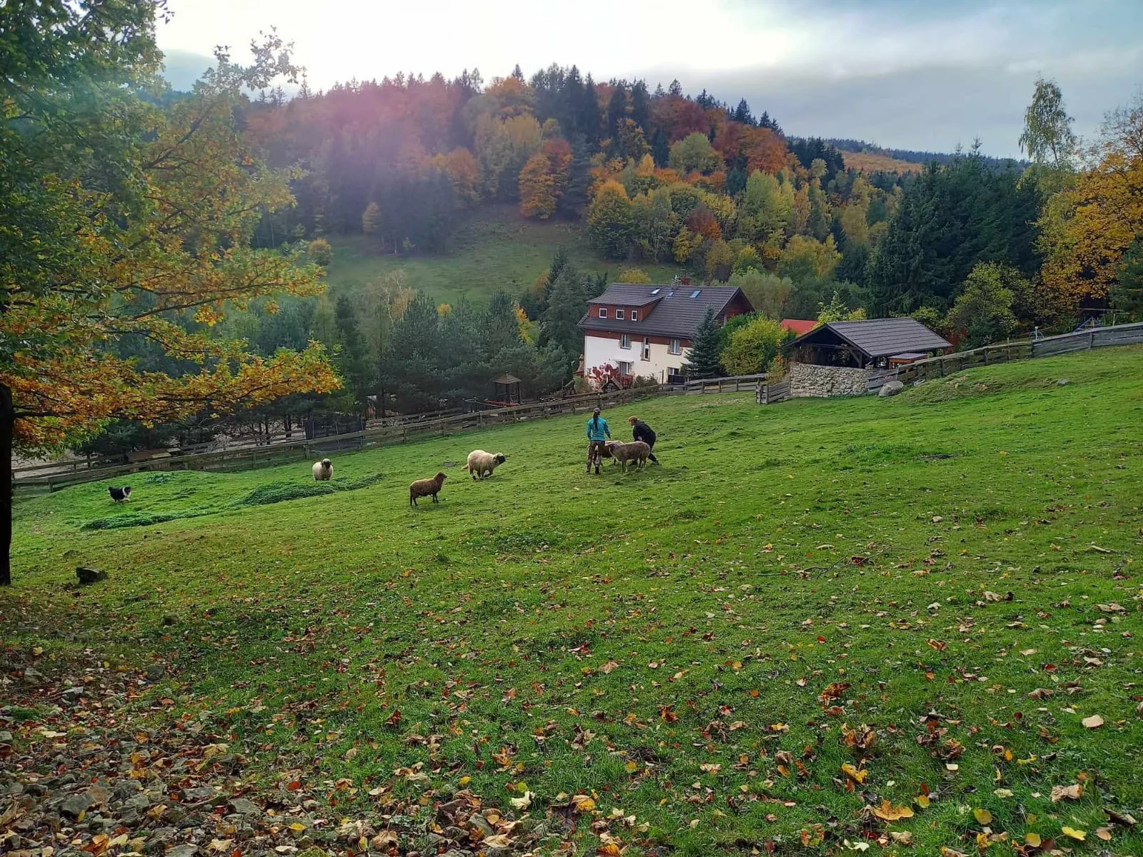 Zagroda Studzienno jesienną porą
