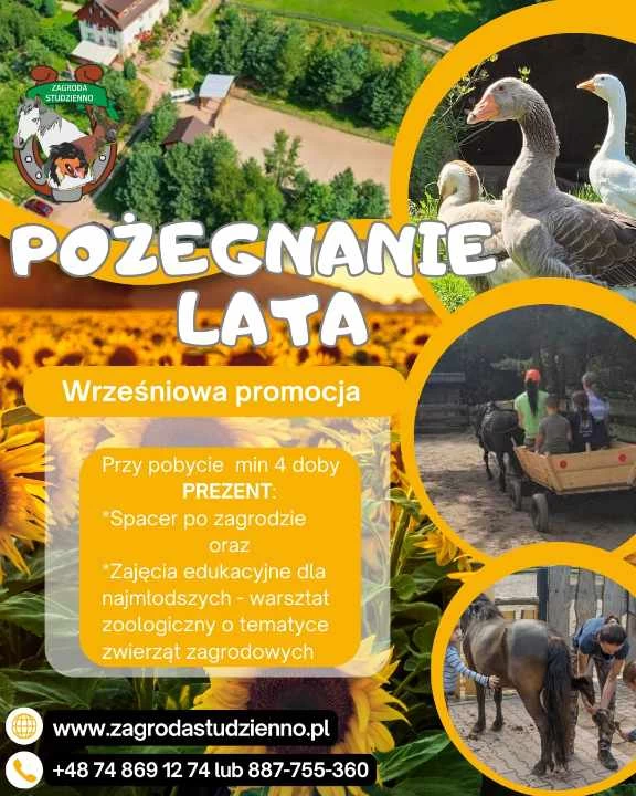 Promocja!!