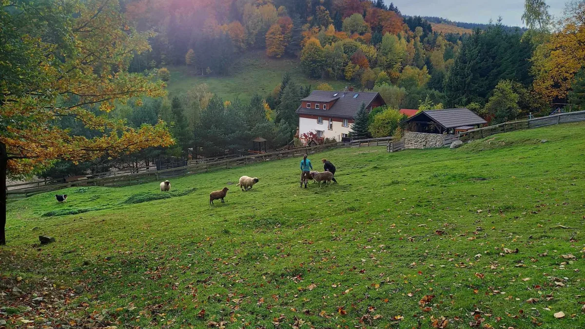 Jesienny wypoczynek dla rodzin z dziećmi