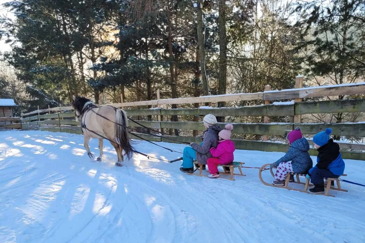 Mini kulig dla najmłodszych
