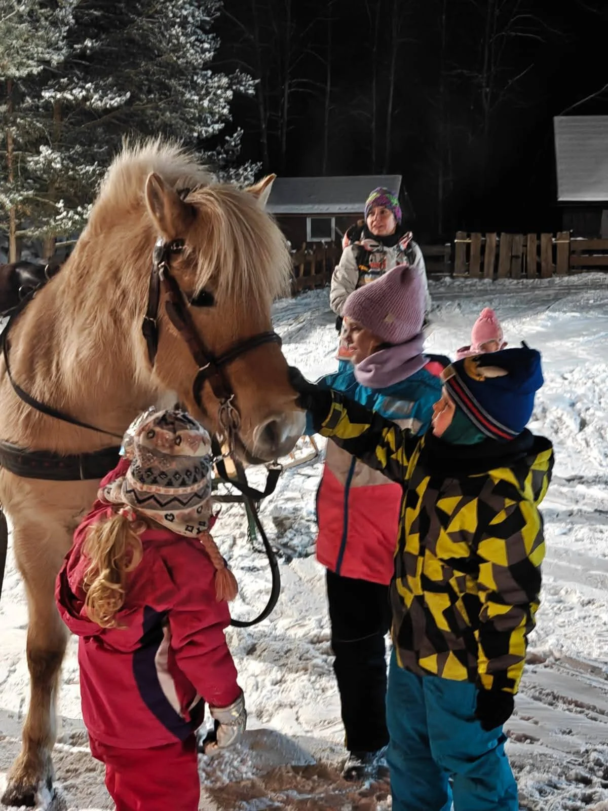 Mikołajki w zagrodzie🎄🎅 — zdjęcie 5