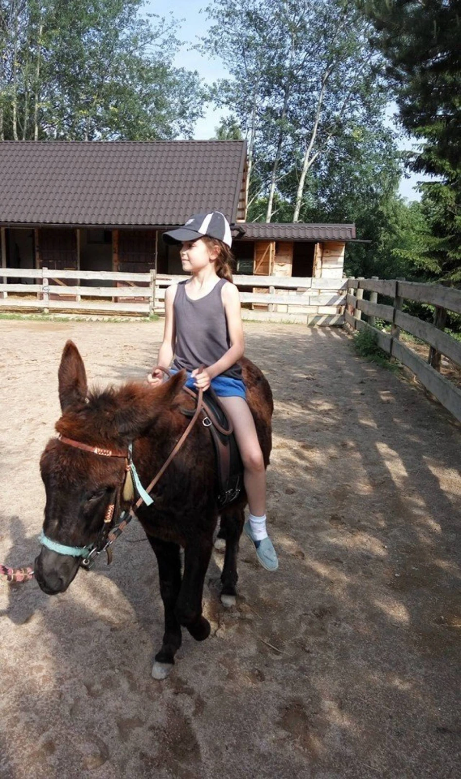 Zwierzęta zagrody 3