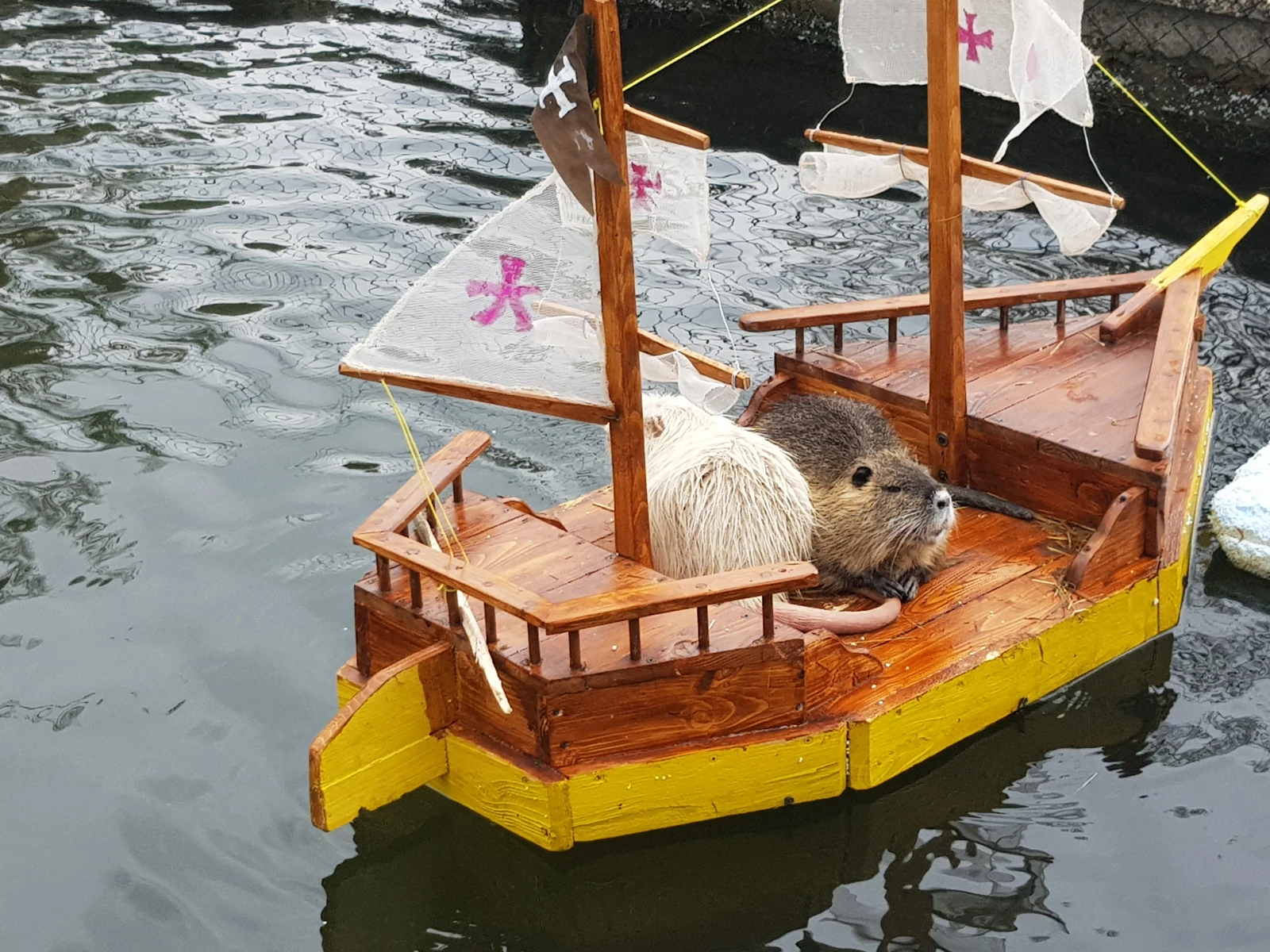Osiołek