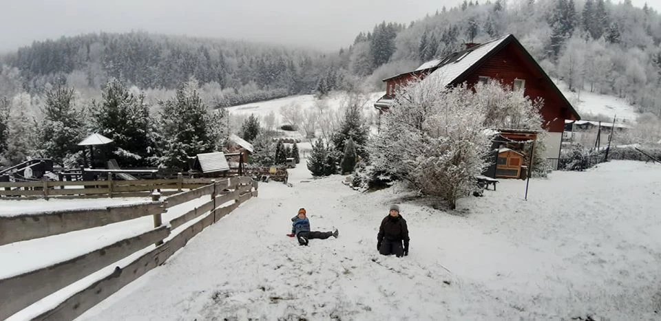 Natura wokół zagrody 11