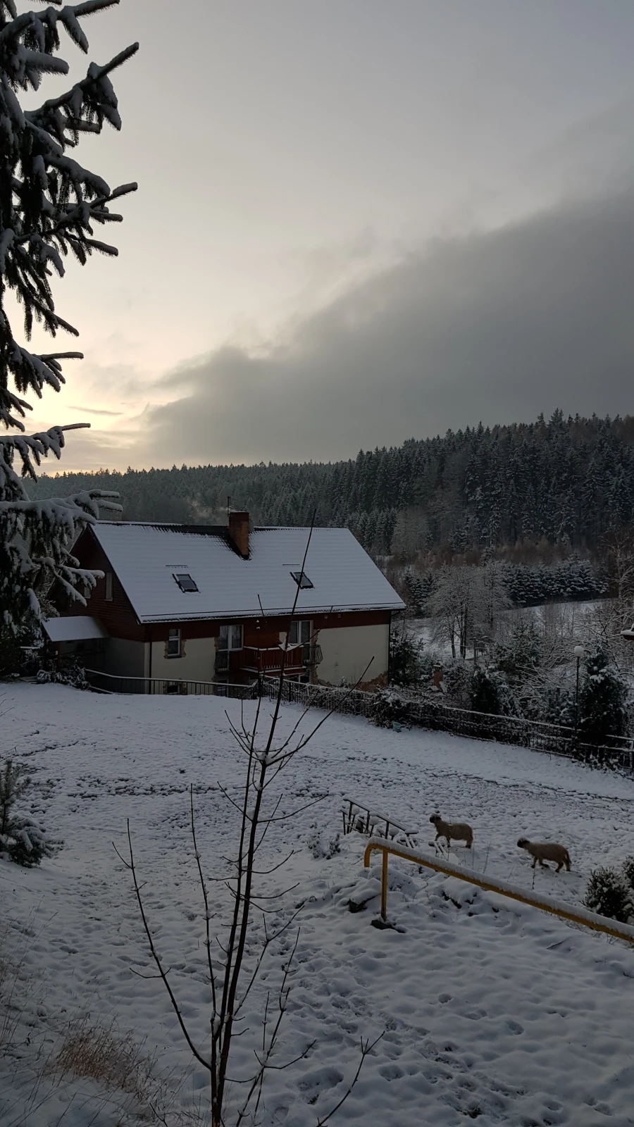 Natura wokół zagrody 18